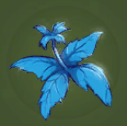 Waterglade Lily